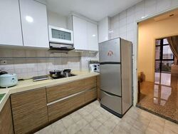 Dover Parkview (D5), Condominium #484939831